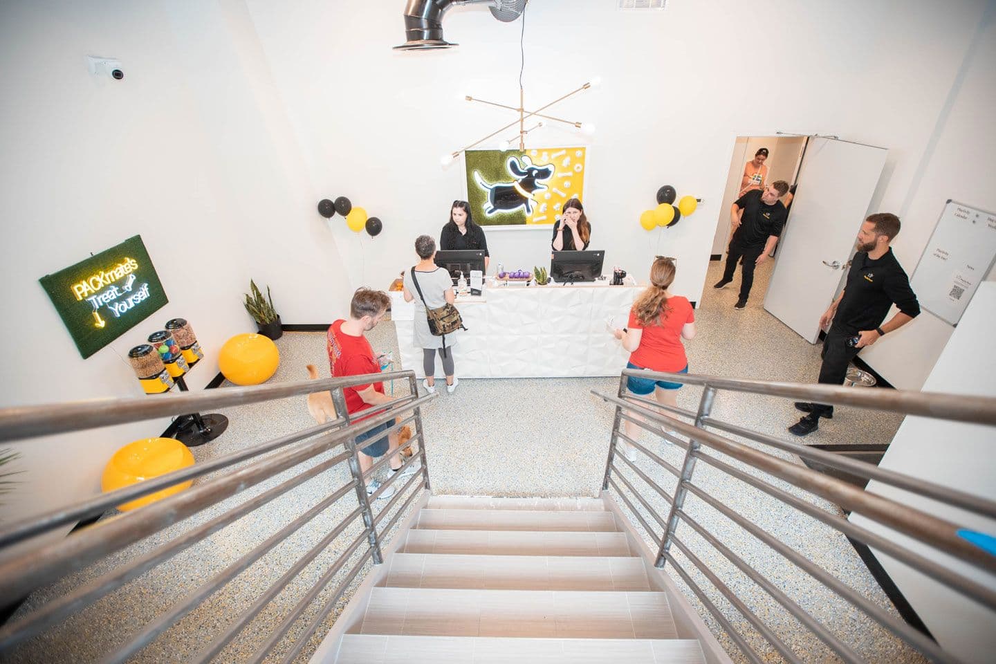 Lobby inside Playful Pack Arlington location