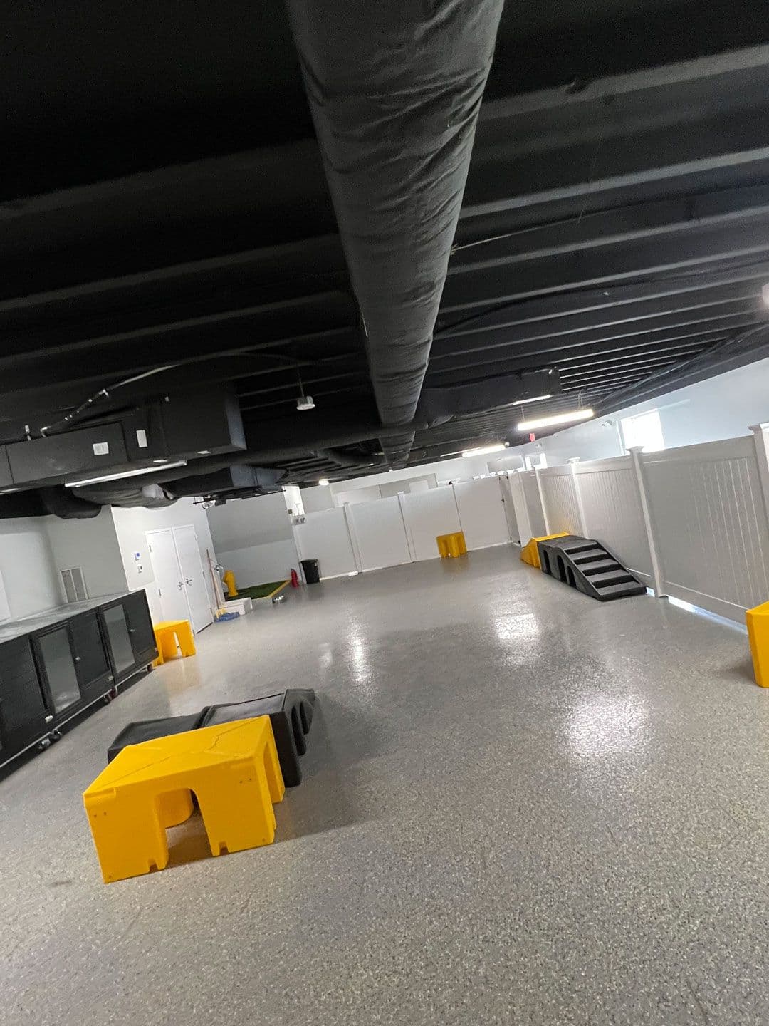 Picture of Playful Pack's Daycare room in Rockville, MD